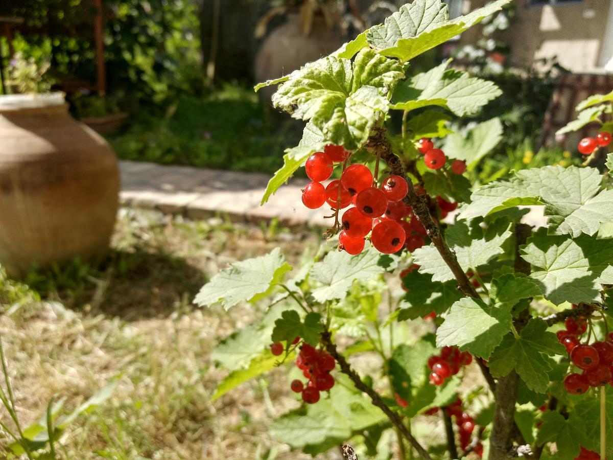 Gayane & Khikar B&B Chʼiva Εξωτερικό φωτογραφία