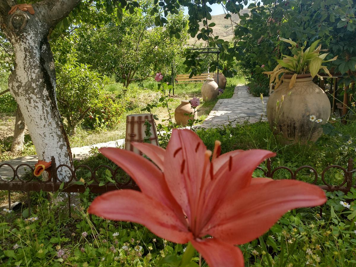 Gayane & Khikar B&B Chʼiva Εξωτερικό φωτογραφία
